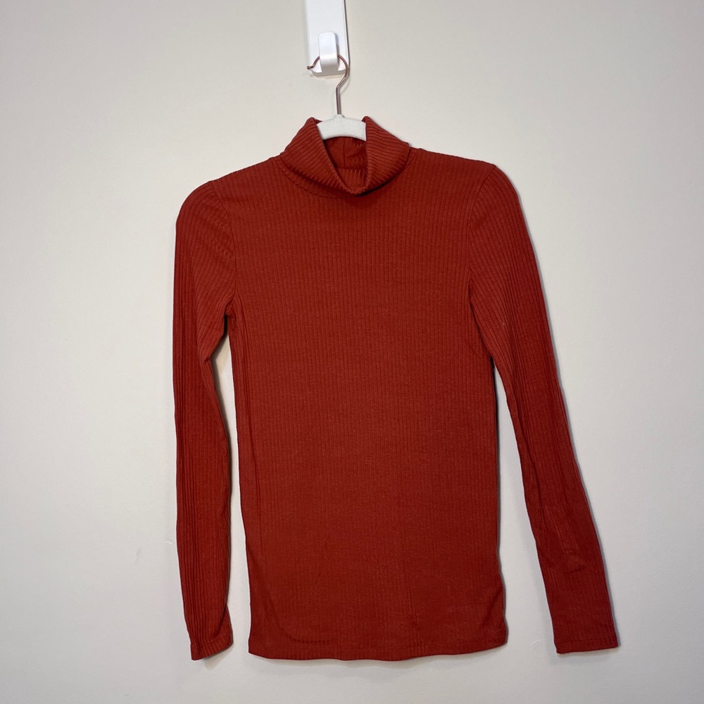 Madewell Terracotta Ribbed Turtleneck